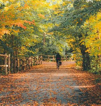 A person riding their bike in Springbank Park, in London, Ontario, Canada, surrounded by trees and leaves in the fall