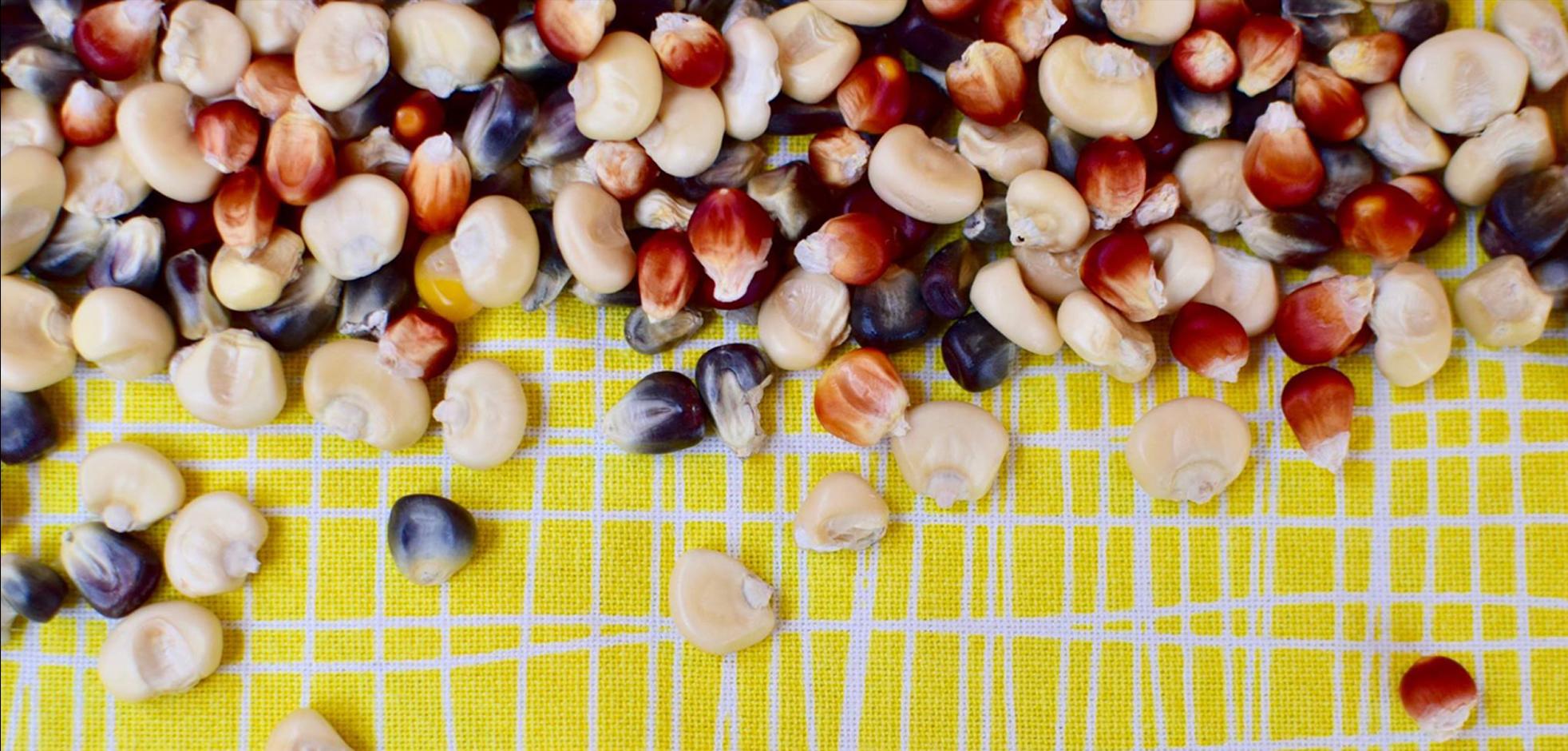 Different coloured grains on a yellow background.