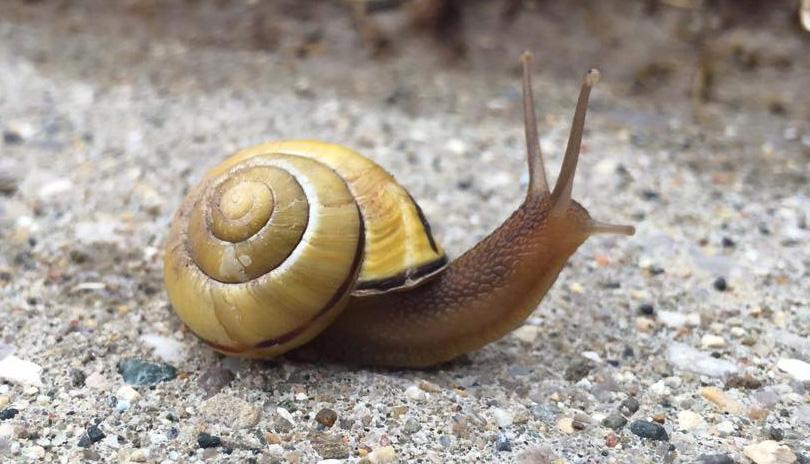 Kettle-Creek-Conservation-Authority4