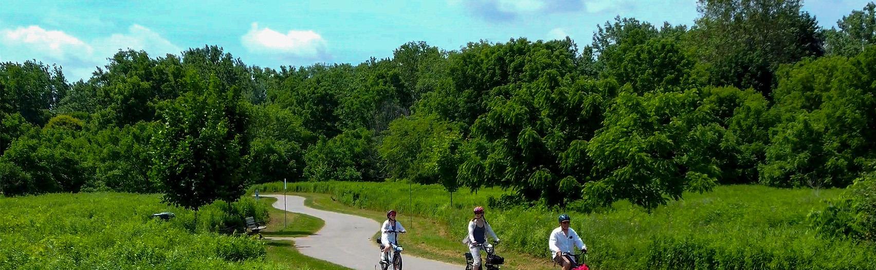 London Bicycle Tours exploring the forests and parks