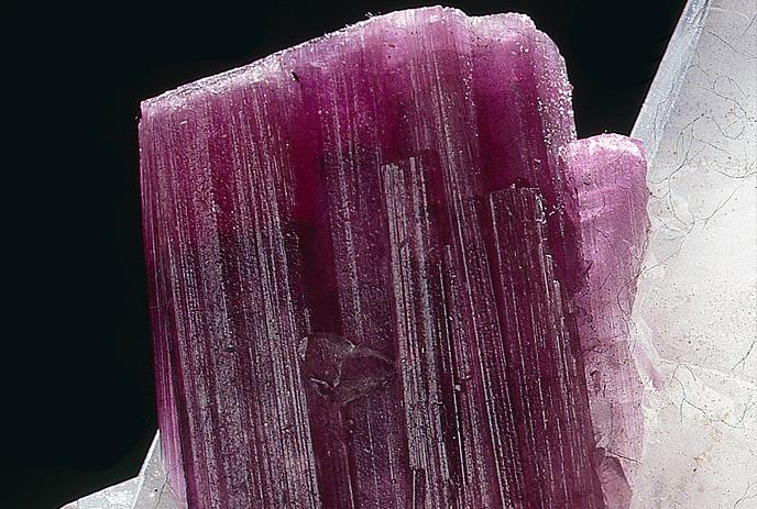 Pink-red tourmaline crystal with striations glows against black background.
