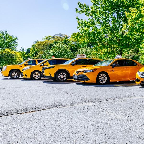 Show Your Badge logo