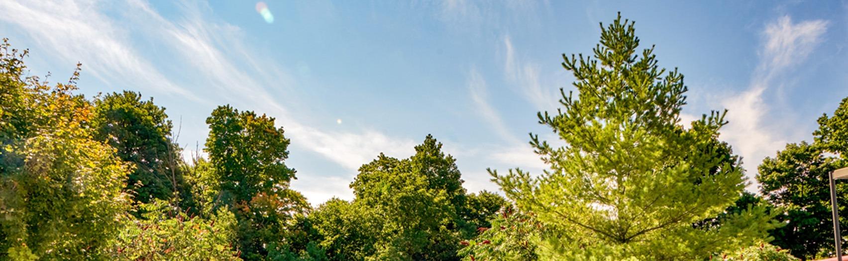 MOA building exterior showing trees