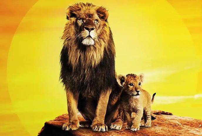 A lion and his cub standing on a rock in front of a large sunset.