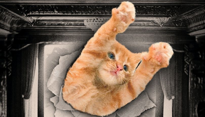 Orange tabby cat busting through torn paper in an ornate room, paws raised, eyes wide—playful surprise!