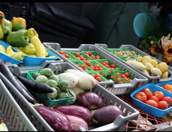 urban-roots-10-cleanup-1