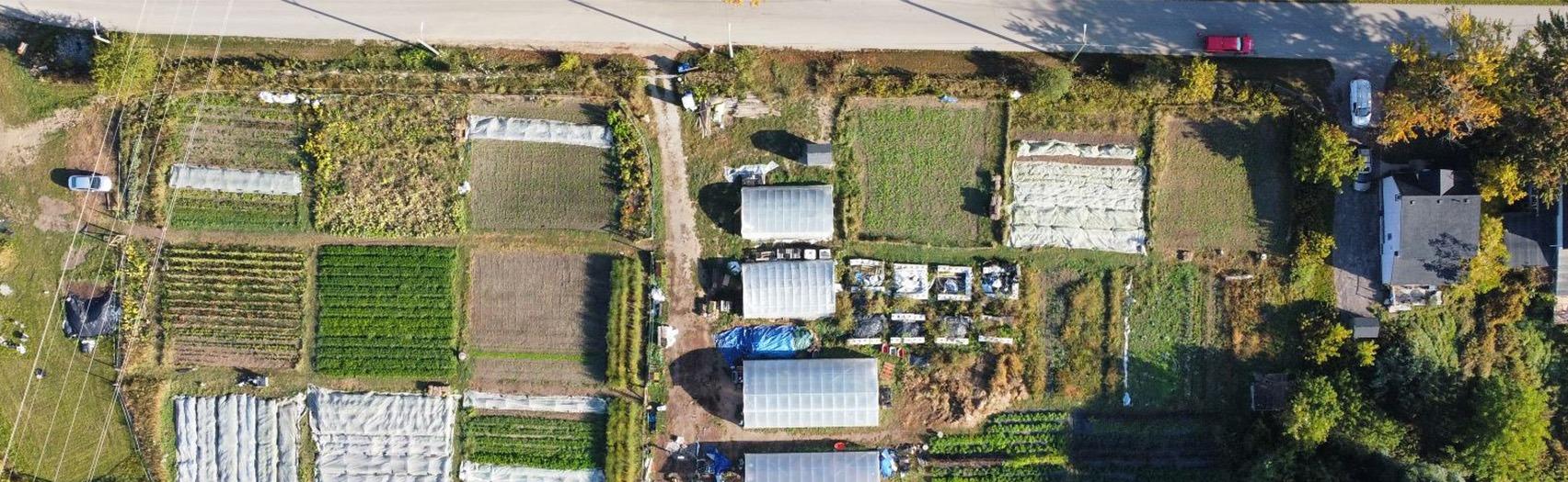 Urban Roots London Farm Overview